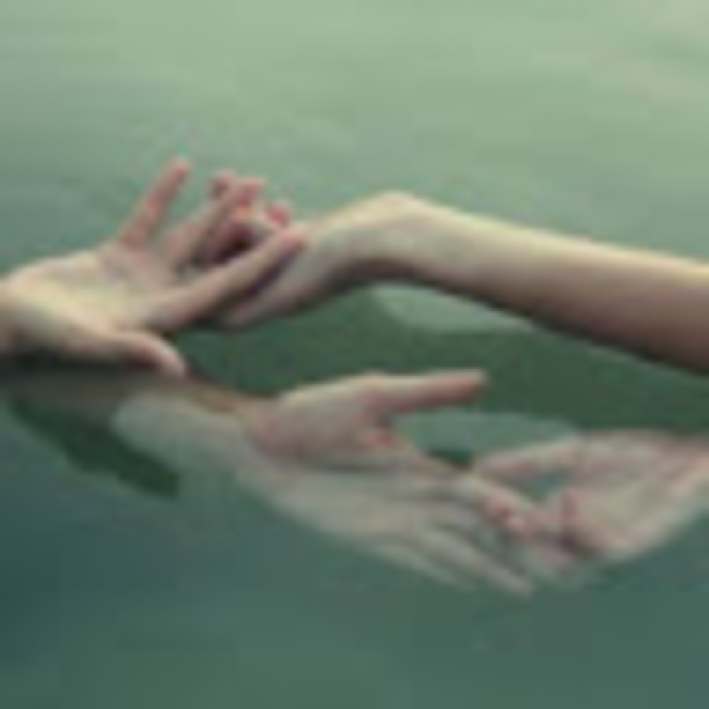 Meet your Posher, Lily